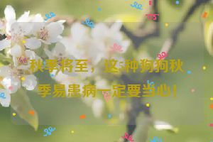 秋季将至，这5种狗狗秋季易患病一定要当心！