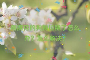 刚满月的狗狗拉稀了怎么办？怎么解决？