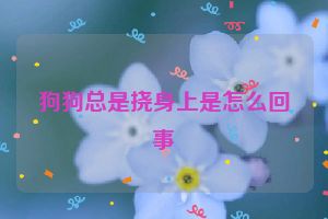 狗狗总是挠身上是怎么回事