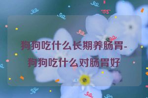 狗狗吃什么长期养肠胃-狗狗吃什么对肠胃好