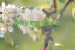 狗狗能吃辣的东西吗