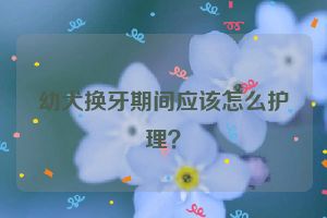 幼犬换牙期间应该怎么护理？