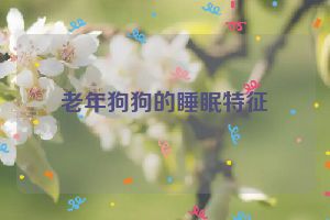 老年狗狗的睡眠特征