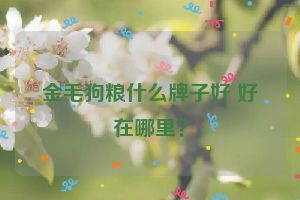 金毛狗粮什么牌子好 好在哪里？