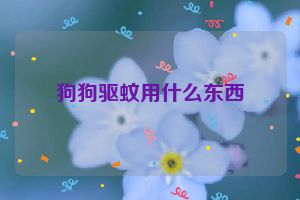 狗狗驱蚊用什么东西