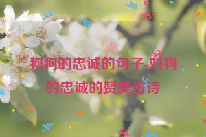 狗狗的忠诚的句子-对狗的忠诚的赞美古诗