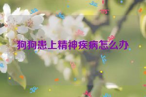 狗狗患上精神疾病怎么办