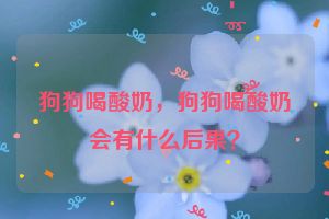 狗狗喝酸奶，狗狗喝酸奶会有什么后果？