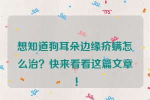 想知道狗耳朵边缘疥螨怎么治？快来看看这篇文章！