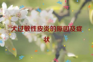 犬过敏性皮炎的原因及症状