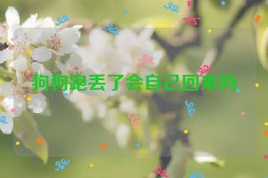 狗狗跑丢了会自己回来吗