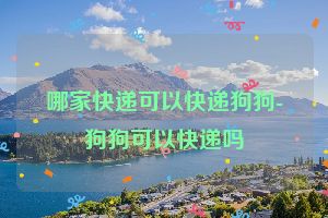 哪家快递可以快递狗狗-狗狗可以快递吗