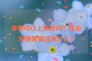 宠物可以上高铁吗？托运宠物需要注意什么？