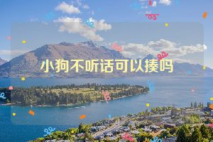 小狗不听话可以揍吗