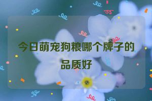 今日萌宠狗粮哪个牌子的品质好