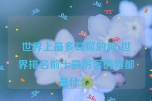 世界上最多耳屎的狗-世界排名前十最厉害的狗都是什么?