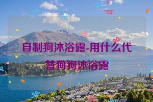 自制狗沐浴露-用什么代替狗狗沐浴露