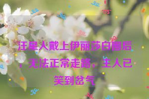 汪星人戴上伊丽莎白圈后，无法正常走路，主人已笑到岔气