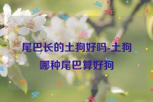 尾巴长的土狗好吗-土狗哪种尾巴算好狗