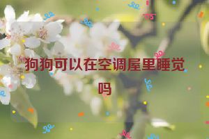 狗狗可以在空调屋里睡觉吗
