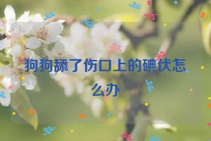 狗狗舔了伤口上的碘伏怎么办