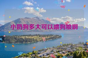 小奶狗多大可以喂狗粮啊