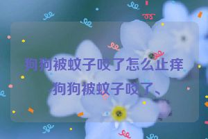 狗狗被蚊子咬了怎么止痒-狗狗被蚊子咬了、