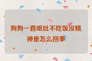 狗狗一直呕吐不吃饭没精神是怎么回事