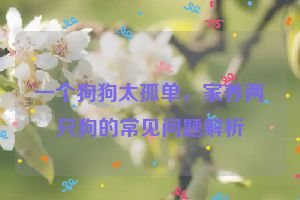 一个狗狗太孤单，家养两只狗的常见问题解析