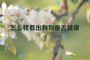 怎么样看出狗狗是否健康？