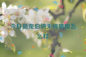 今日萌宠伯纳天纯猫粮怎么样