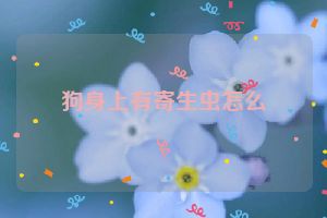 狗身上有寄生虫怎么