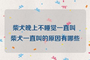 柴犬晚上不睡觉一直叫 柴犬一直叫的原因有哪些