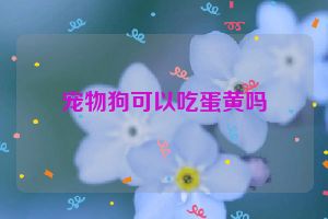 宠物狗可以吃蛋黄吗