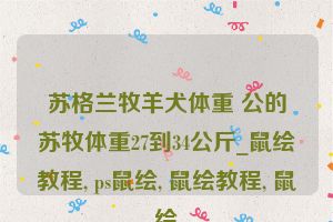 苏格兰牧羊犬体重 公的苏牧体重27到34公斤_鼠绘教程, ps鼠绘, 鼠绘教程, 鼠绘