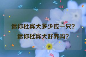 迷你杜宾犬多少钱一只？迷你杜宾犬好养吗？