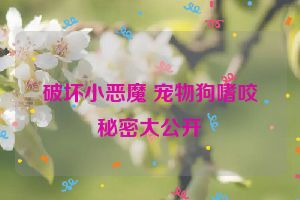 破坏小恶魔 宠物狗嗜咬秘密大公开