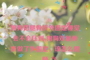 狗狗后腿骨折外固定睡觉会不会压到-狗狗双腿骨折做了外固定，该怎么照顾