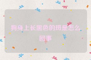 狗身上长黑色的斑是怎么回事