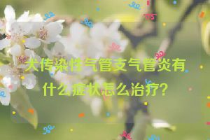 犬传染性气管支气管炎有什么症状怎么治疗？