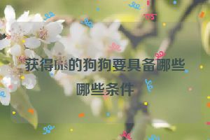 获得bis的狗狗要具备哪些哪些条件