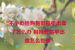 不小心给狗狗剪指甲出血了怎么办 狗狗剪指甲出血怎么处理