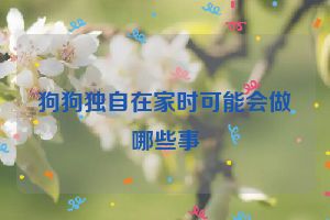 狗狗独自在家时可能会做哪些事