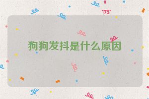 狗狗发抖是什么原因