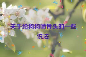 关于给狗狗啃骨头的一些说法