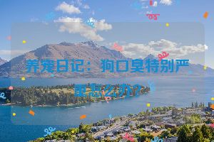 养宠日记：狗口臭特别严重怎么办？