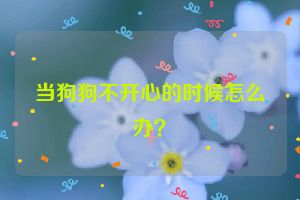 当狗狗不开心的时候怎么办？