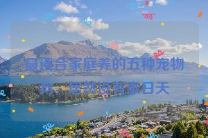 最适合家庭养的五种宠物狗，居然没有泰日天
