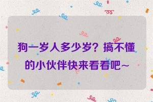 狗一岁人多少岁？搞不懂的小伙伴快来看看吧~