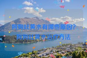 狗狗吐黄水有哪些原因？狗狗吐黄水治疗方法